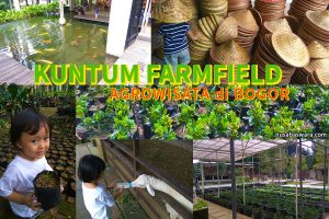 Kuntum Farmfield & Nursery – Agrowisata di Bogor